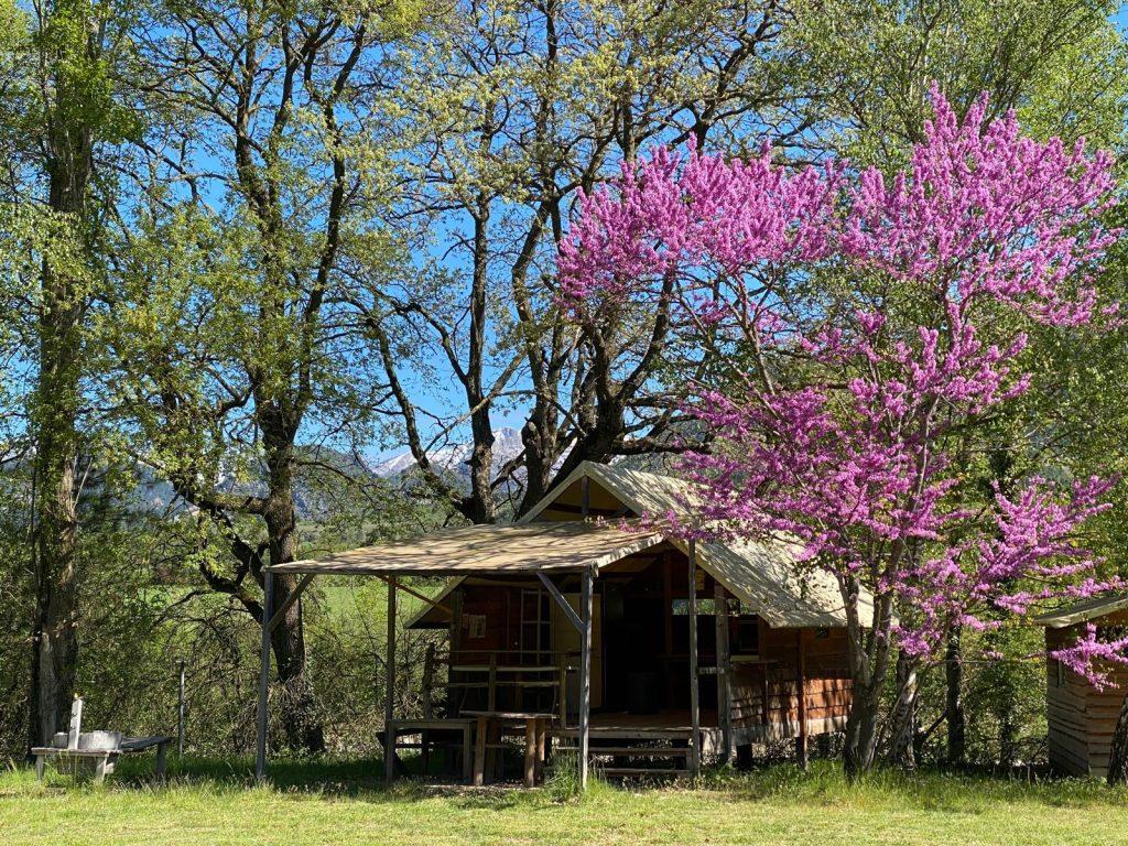 Exemple de cabane cuisine