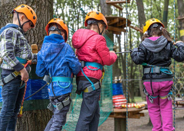 Des enfants font de l'accrobranche