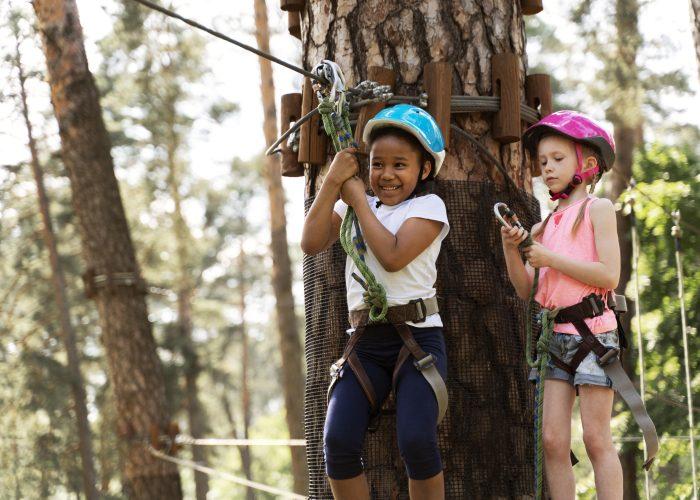 Nous proposons des activités comme l'accrobranche